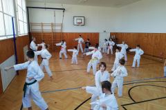 IMG_20191130_102946
